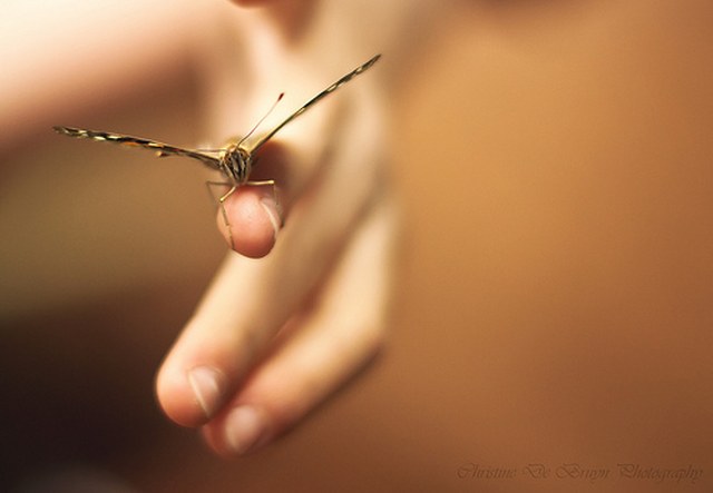 轰炸手机短信网站